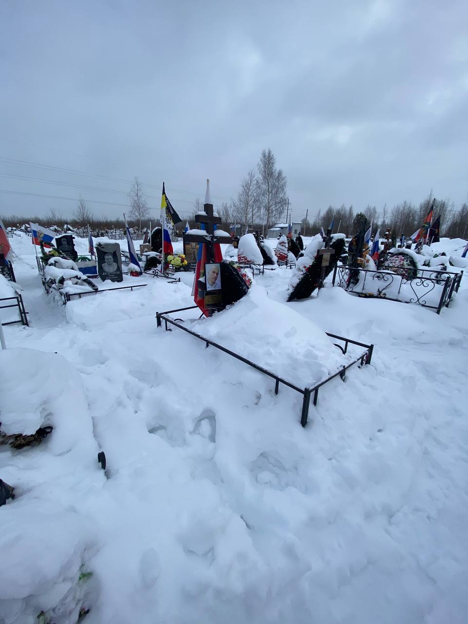 Горохов